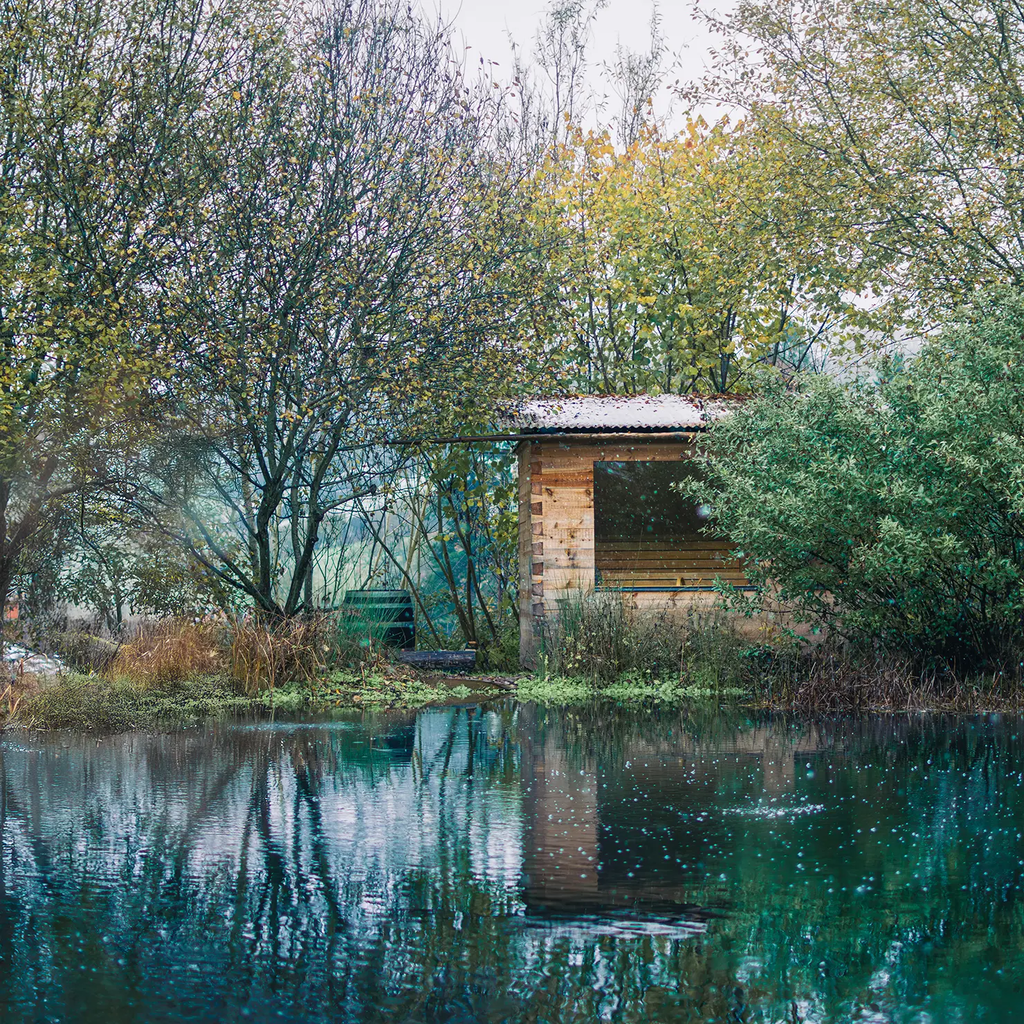 sauna-lg